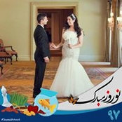 Parisa Jamsheed's photo