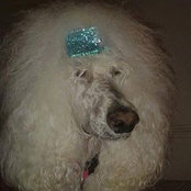 Barbara Lyons's photo