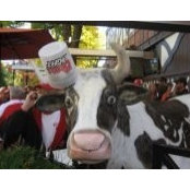 Foto von Kathy Bamesberger
