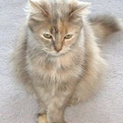 Foto von Avia Anderson