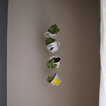 plant hanging