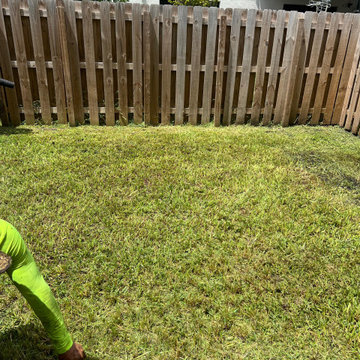 Make your outdoor space cleaner, greener, and easier to maintain.