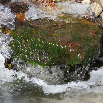 Water features