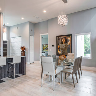 タンパの広いコンテンポラリースタイルのLDKの画像 (グレーの壁、磁器タイルの床、グレーの床)