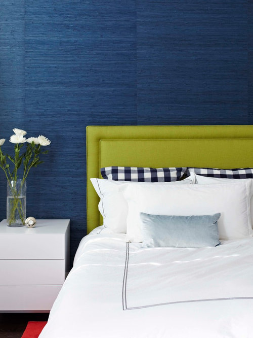Best Blue  Wallpaper  Design Ideas Remodel Pictures Houzz