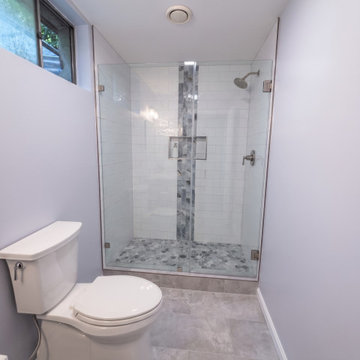 Manassas Basement Bathroom Remodel
