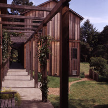 trellis