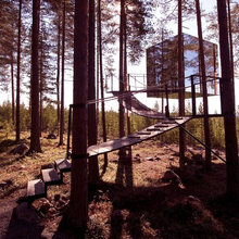 Tree Houses