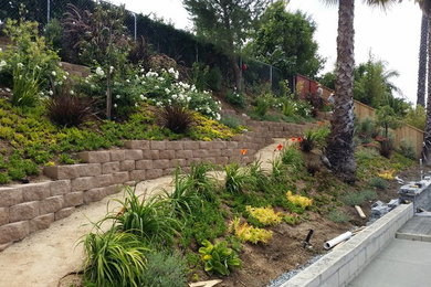Photo of a medium sized classic back formal full sun garden for spring in Orange County with a living wall and concrete paving.