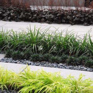 Design ideas for a modern garden in San Francisco.