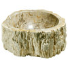 Petrified Wood Sinks, 10-14" Wide, Colors Vary from Beige to Brown