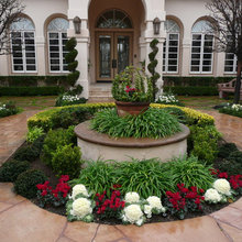 Landscape Ideas