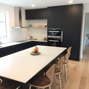 Matt Black Flat Panel Mid-century Modern