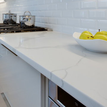 White Contemporary Kitchen