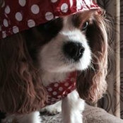 Gma Swezy's photo