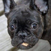 Kate Berry's photo
