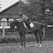 Becky Kenning's photo