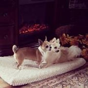 Wendy Mccready's photo