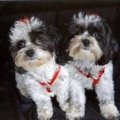 Maxie Canant's photo