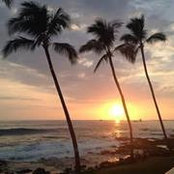 Andra Vierra's photo