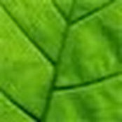 Shriraj Shah's photo