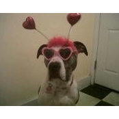 Ann Tylutki's photo