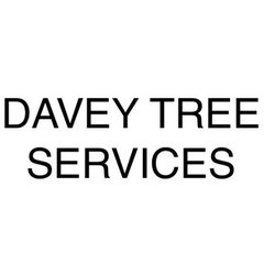 Davey Tree Service