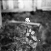 Eliza Ma's photo