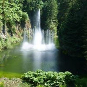 Kathy Hatton's photo