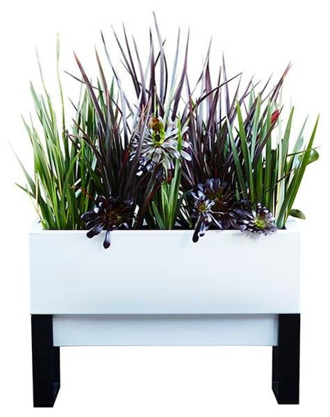 Urban Garden Self Watering Planter