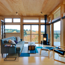 Wood Stove