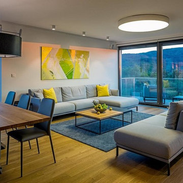 LARGE APARTMENT, VILLA VISTA, BRATISLAVA, SLOVAKIA