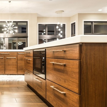 Eagles Landing - Modern Walkout Rambler -Saint Augusta, Mn