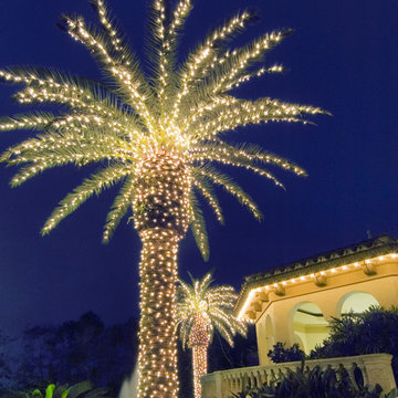 Holiday Outdoor Lighting