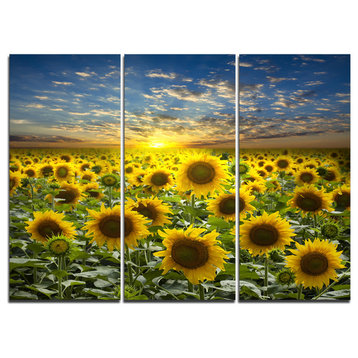 "Field of Blooming Sunflowers" Canvas Wall Art, 3 Panels, 36"x28"