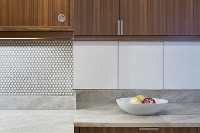 Inspiration for a contemporary kitchen remodel in New York