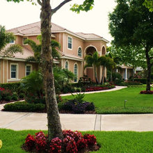 Florida landscape
