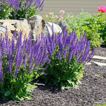 Landscaping, Professional Landscaping Advice, Lawn Care