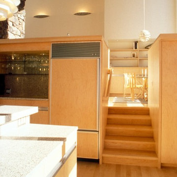 Mountainside Residence
