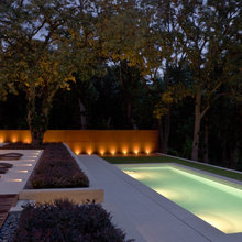 Wilding Pool and Landscape
