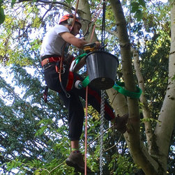 Installing a Treehouse Life Nest Swing project - Products