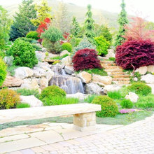 Landscape Ideas