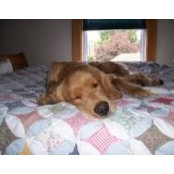 Laura Fetterolf's photo
