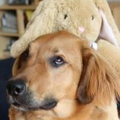 Chris Connolly's photo