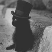 Debi Ann's photo