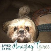 Pam Street's photo