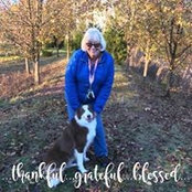 Sandi Hostetler's photo