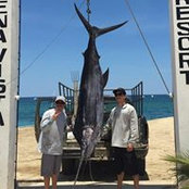 Steve Oropeza's photo