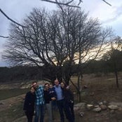 Alejandro Ruiz's photo