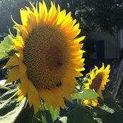 Nanci Waldmann's photo